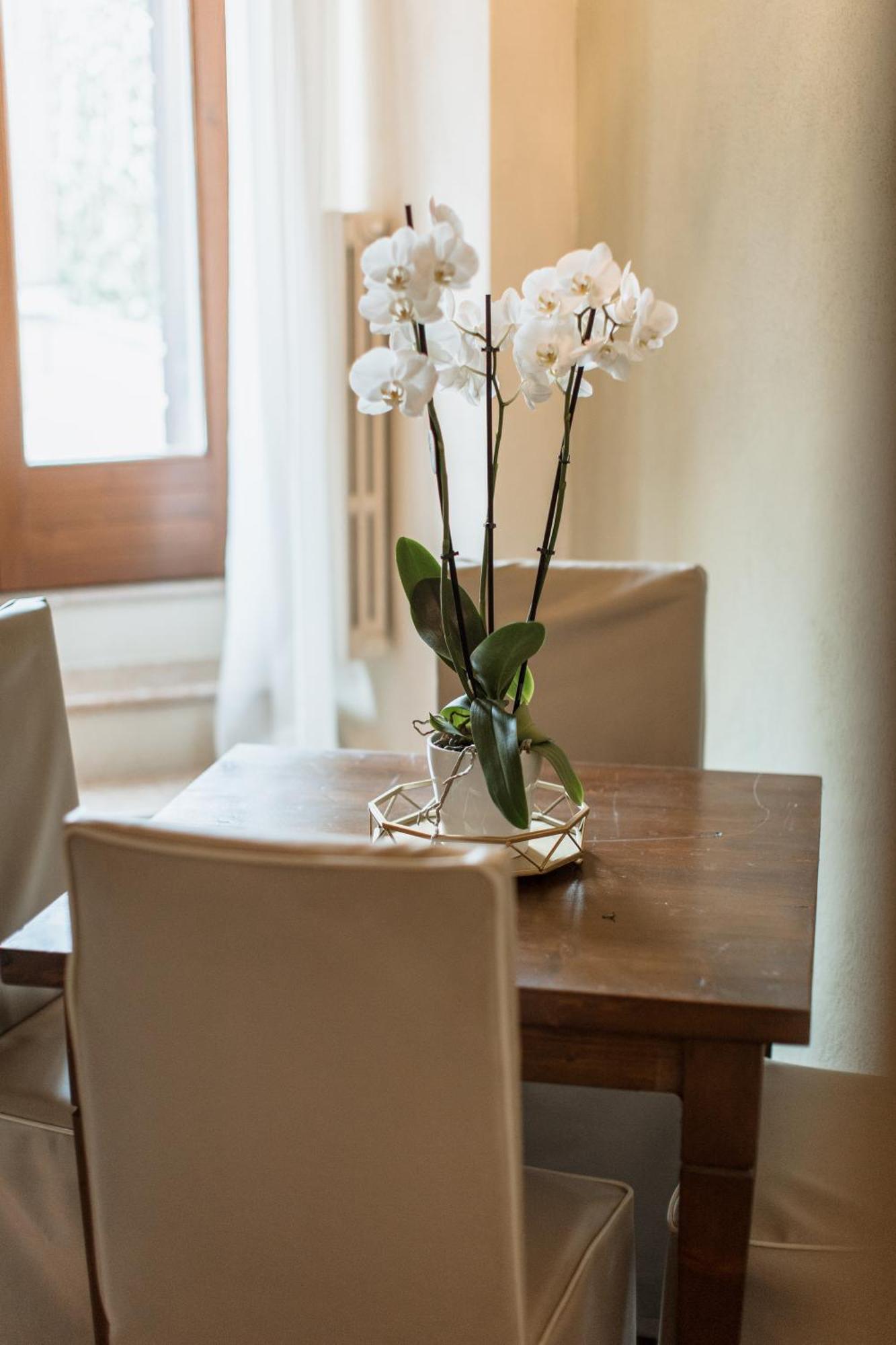 Osteria Luxury Apartments 페스키에라델가르다 외부 사진